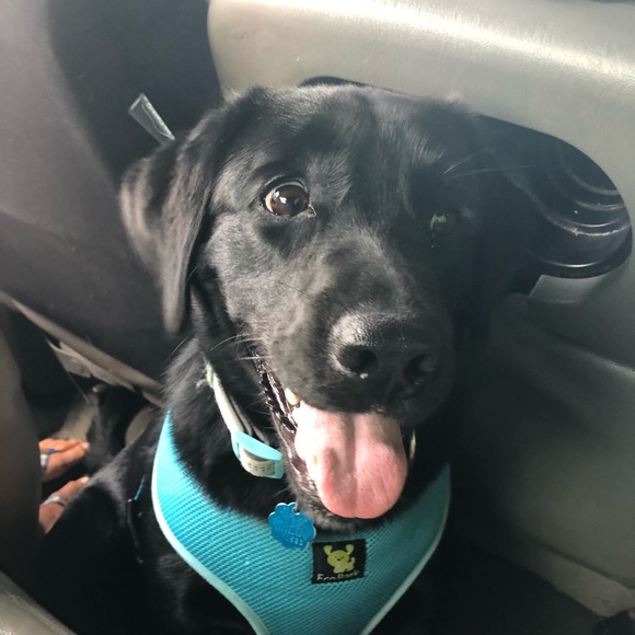 Meet your Posher, Joel - Picture 1 of 1